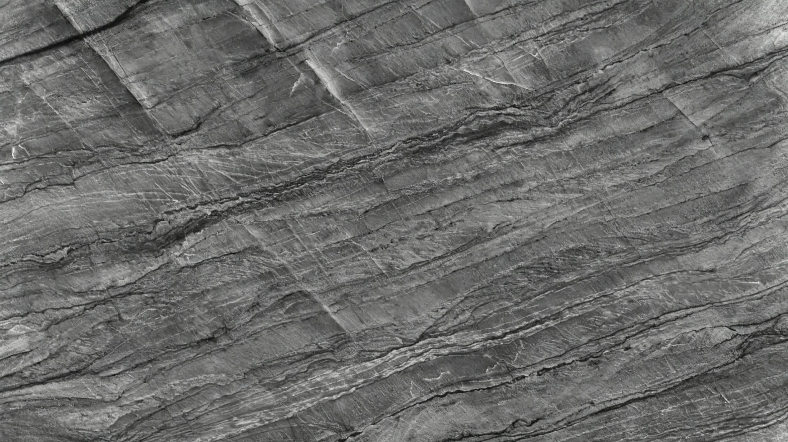Platinus Marble Platinus Slab Texture 01