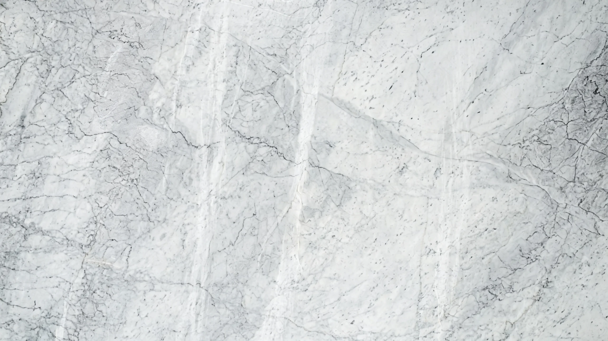 White Carrara Extra Marble White Carrara Extra Slab Texture 01