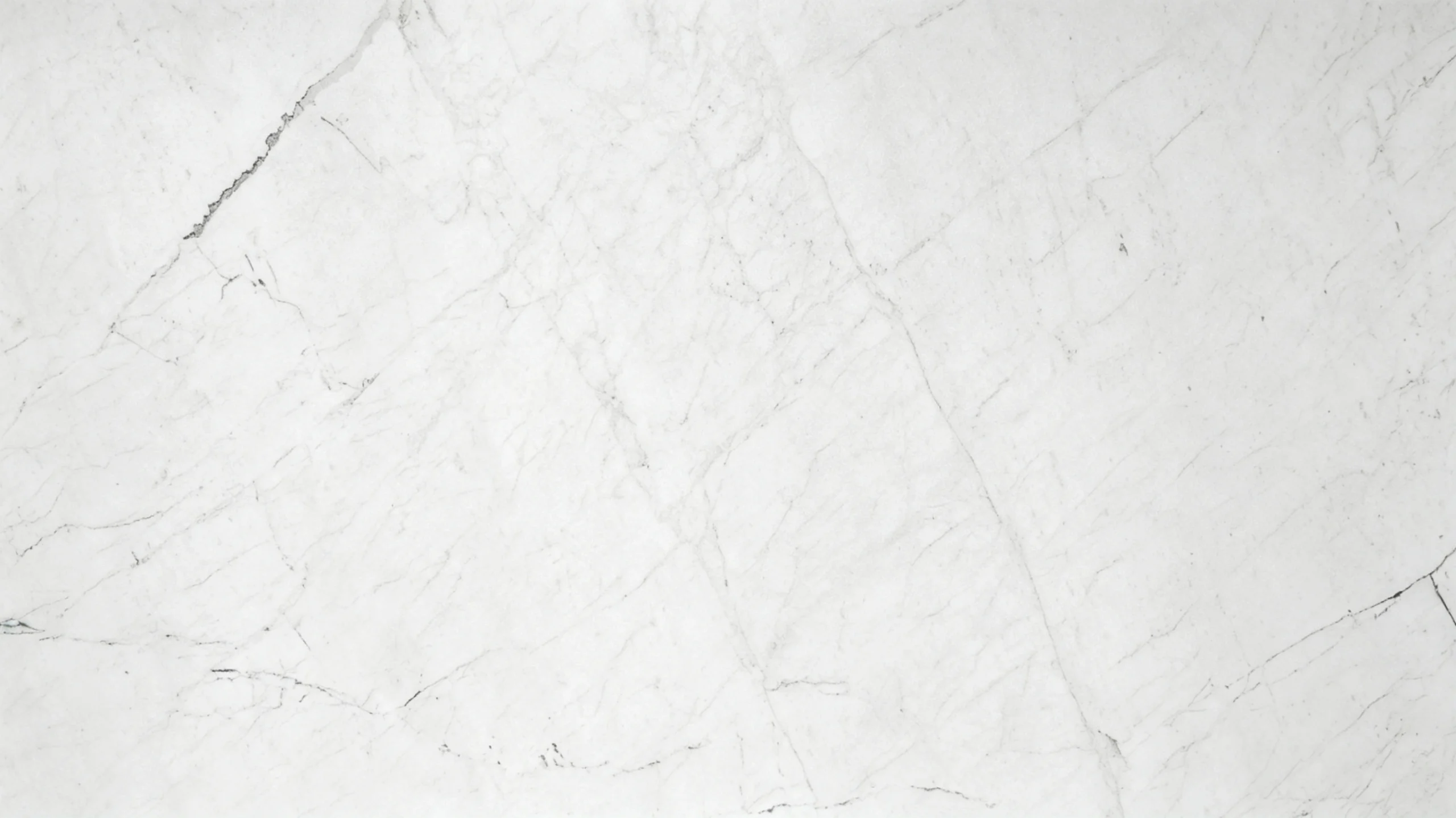 White Carrara Honed Marble White Carrara Honed Slab Texture 01