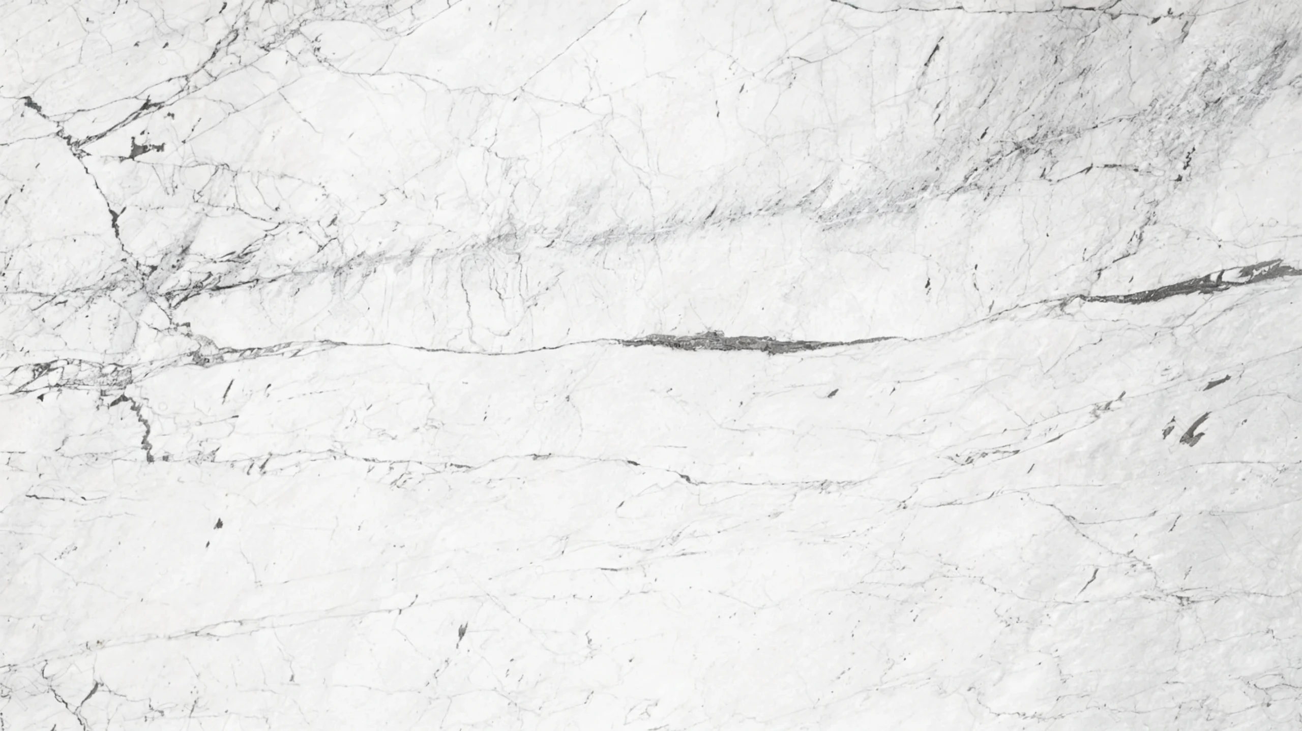 White Carrara Silver Marble White Carrara Silver Slab Texture 01