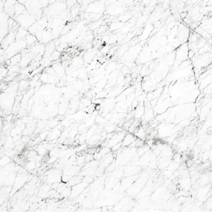 Bianco Venato Marble Stone Character